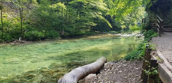 Nombre:  FB_IMG_1687616051905.jpg
Visitas: 233
Tamaño: 56.0 KB