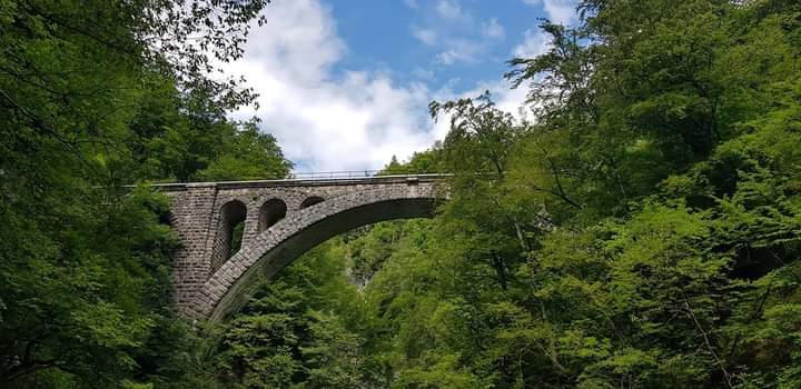 Nombre:  FB_IMG_1687616099998.jpg
Visitas: 234
Tamaño: 48.3 KB