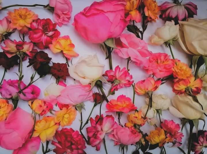 Name:  ٢٠٢٣٠٦٢٤_١٤١٦٥٩.jpg
Views: 710
Size:  58.1 KB