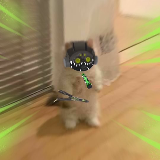 Nombre:  Ezg08DrWUAElsXz.jpeg
Visitas: 167
Tamaño: 25.0 KB