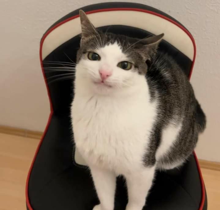 Name:  ٢٠٢٣٠٦٢٤_١٤١٢١٩.jpg
Views: 650
Size:  34.8 KB