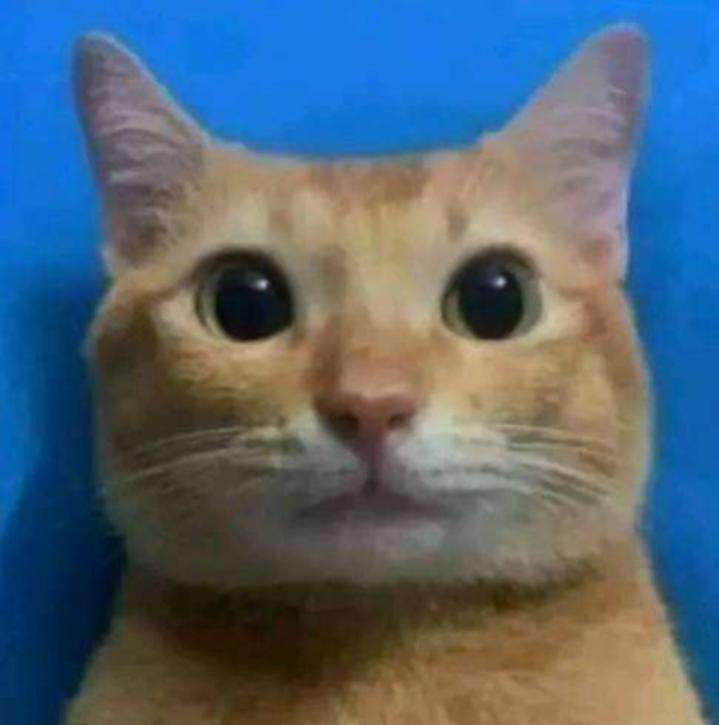 Name:  ٢٠٢٣٠٦٢٤_١٤١٠٥٨.jpg
Views: 763
Size:  31.7 KB