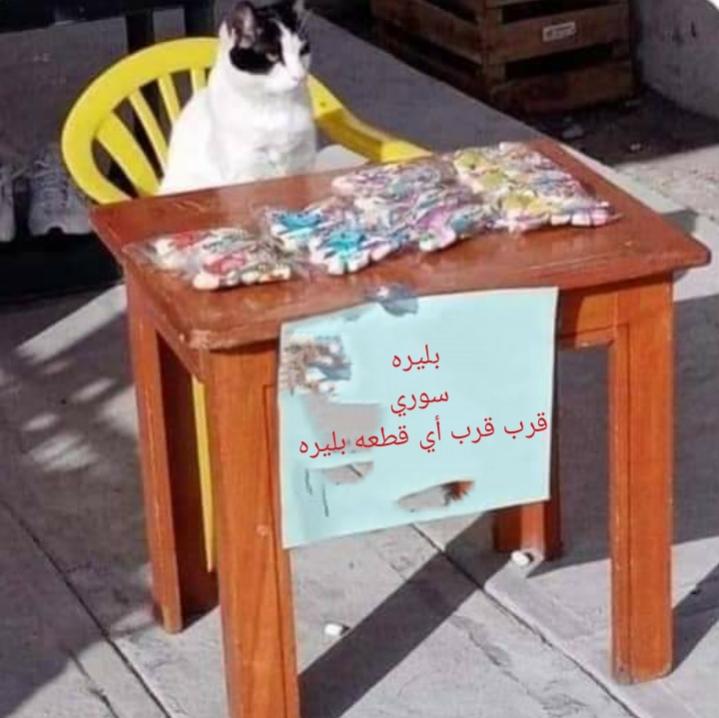 Name:  Polish_٢٠٢٣٠٦٢٤_١٤٤٤١٥٦٩٩.jpg
Views: 328
Size:  55.4 KB