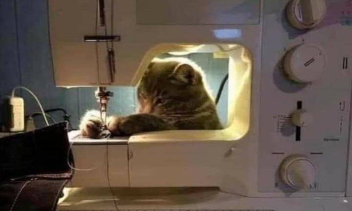 Name:  ٢٠٢٣٠٦٢٤_١٤١٨٢٤.jpg
Views: 330
Size:  24.8 KB