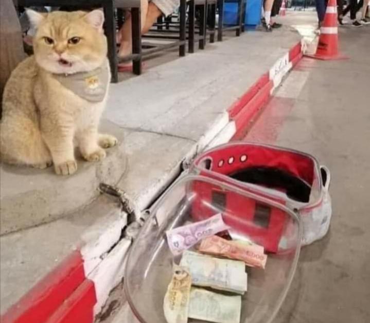 Name:  ٢٠٢٣٠٦٢٤_١٤١٨٤٢.jpg
Views: 322
Size:  48.4 KB