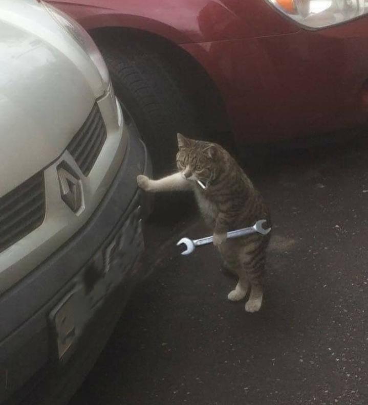 Name:  Polish_٢٠٢٣٠٦٢٤_١٤٤١٤٥٥٤٤.jpg
Views: 432
Size:  41.6 KB