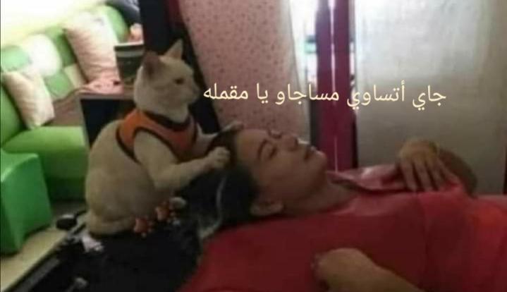 Name:  Polish_٢٠٢٣٠٦٢٤_١٤٤٥٥٧٥٦٨.jpg
Views: 330
Size:  24.6 KB