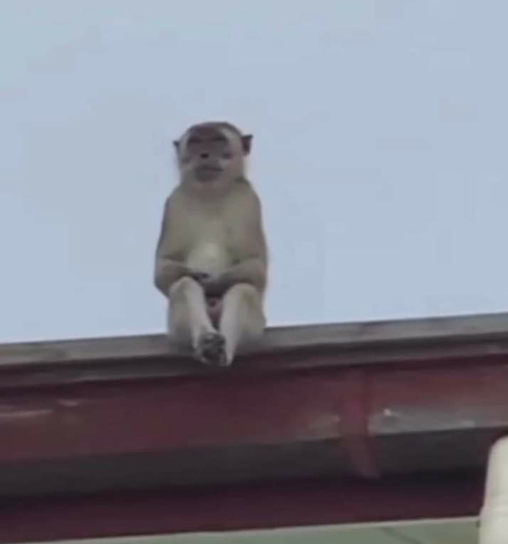 Name:  Polish_٢٠٢٣٠٦١٤_١٩٥٠٣٦٠٨٣.png
Views: 385
Size:  93.1 KB