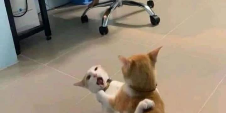 Name:  ٢٠٢٣٠٧٠٨_١١٢٧٥٥.jpg
Views: 368
Size:  15.3 KB