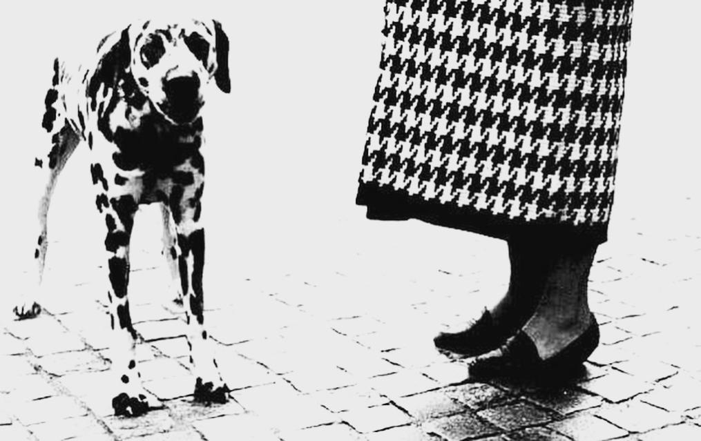 Name:  4BDDC03F-9867-4200-8836-46234C80B0FE.jpg
Views: 79
Size:  81.4 KB