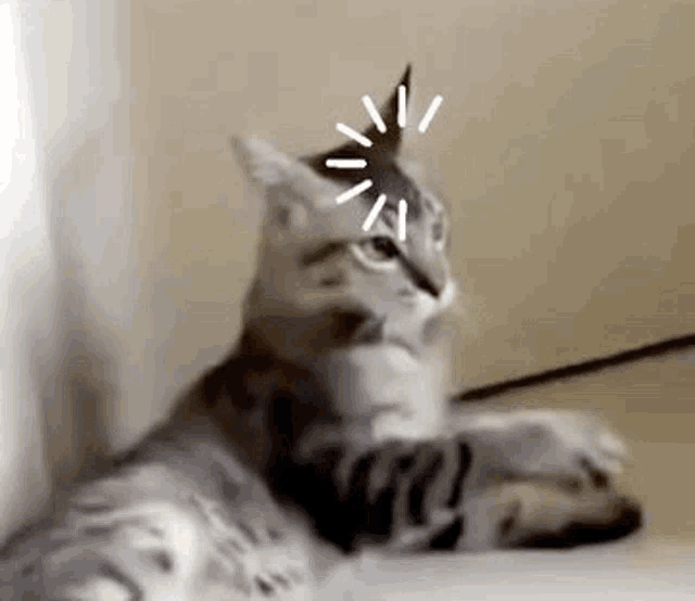 Name:  loading-shocktin.gif
Views: 301
Size:  395.4 KB