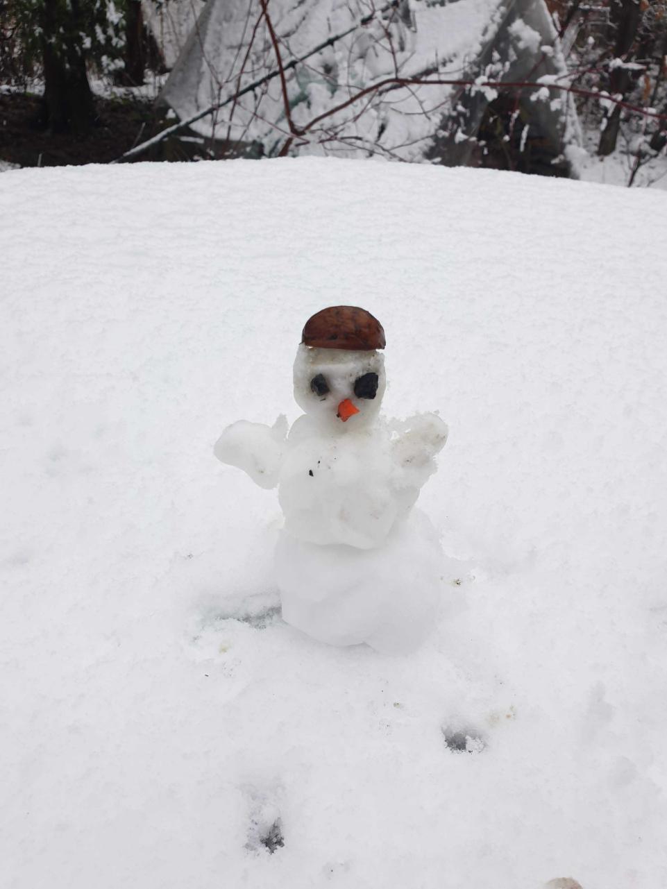 Name:  20201129_124623.jpg
Views: 91
Size:  82.5 KB