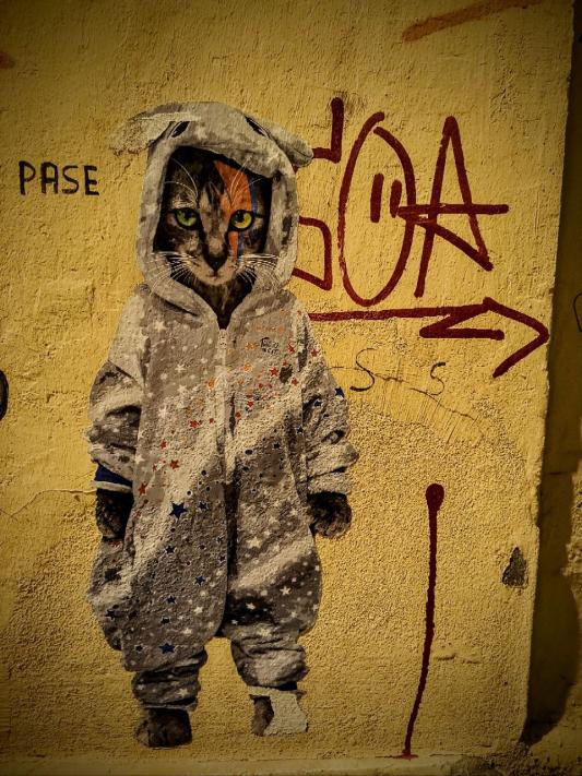 Nombre:  photo_2024-01-18_19-07-12.jpg
Visitas: 79
Tamaño: 98.3 KB