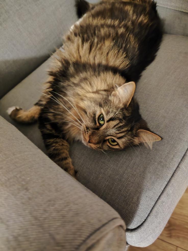 Name:  IMG_20240125_225600(1).jpg
Views: 96
Size:  91.9 KB