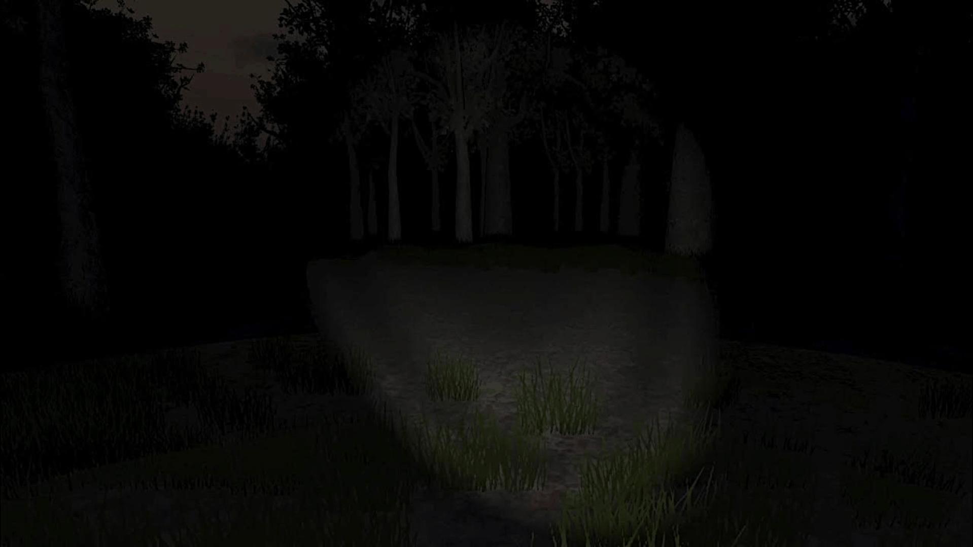 Name:  1slenderwoods.jpg
Views: 119
Size:  77.6 KB