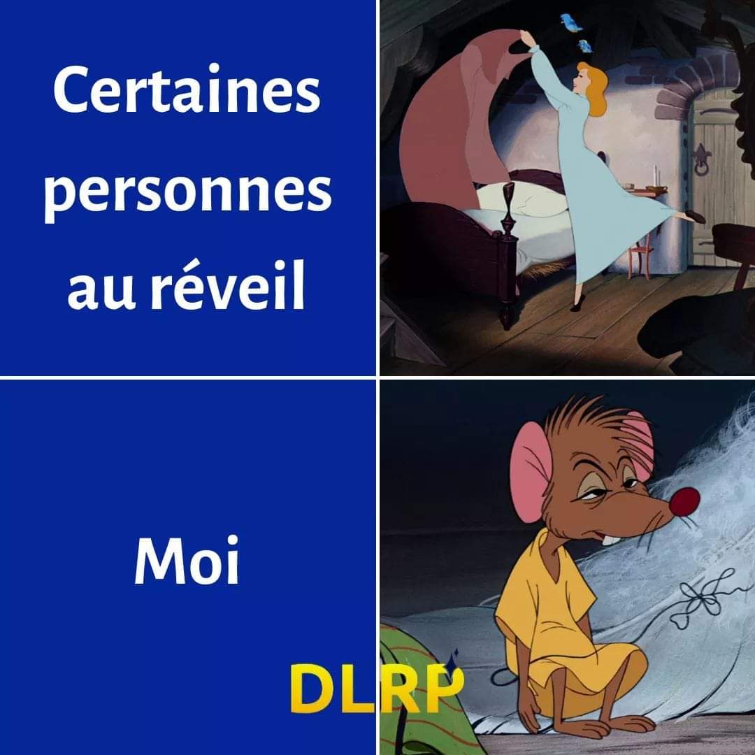 Nom : 20240209_044858.jpg
Affichages : 56
Taille : 79,6 Ko