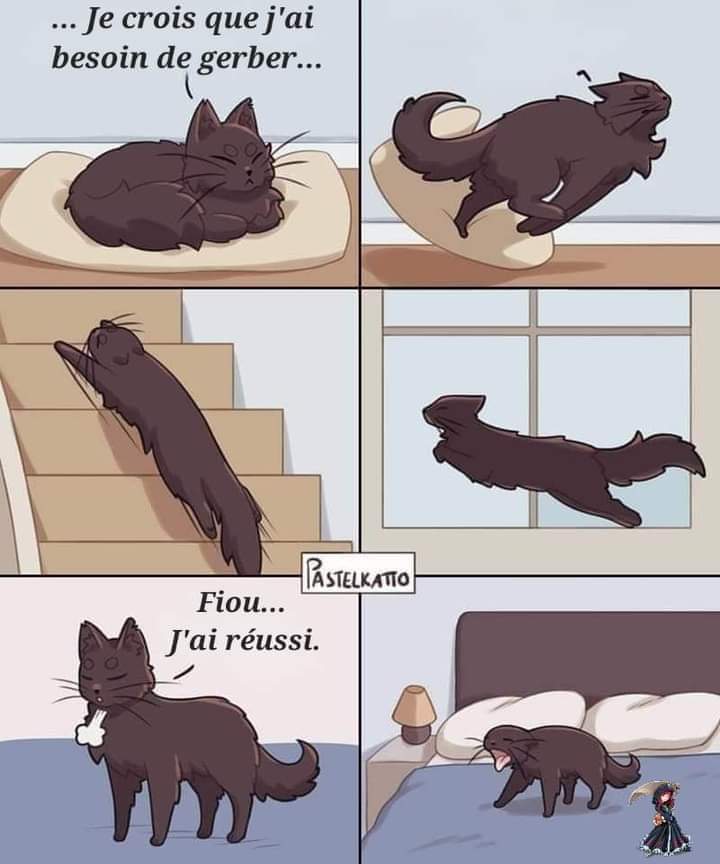 Nom : 20240211_035216.jpg
Affichages : 45
Taille : 47,8 Ko