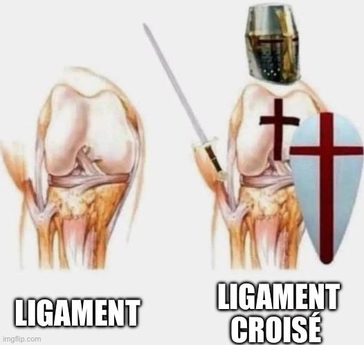 Nom : GFra_akXoAIp_Ad.jpg
Affichages : 27
Taille : 41,7 Ko