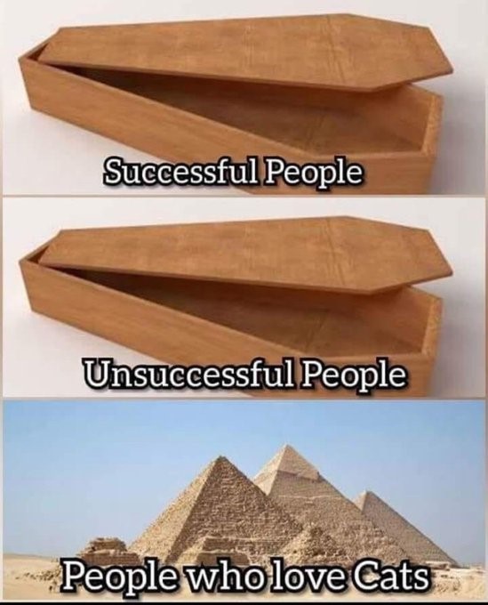 Nom : GFye4jcWgAALpKK.jpg
Affichages : 29
Taille : 69,1 Ko