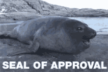 Name:  seal-approval.gif
Views: 89
Size:  243.7 KB