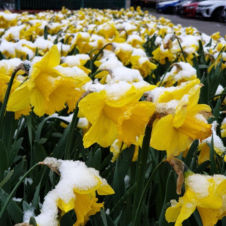 Name:  Screenshot_20240318-092224_Gallery.jpg
Views: 47
Size:  90.5 KB