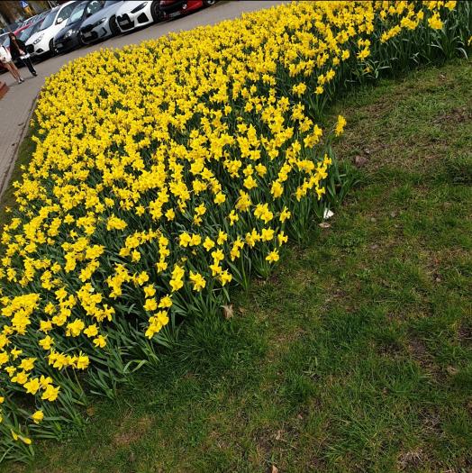 Name:  Screenshot_20240321-140533_Gallery.jpg
Views: 39
Size:  99.5 KB