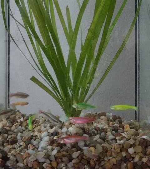 Name:  inbound145581641046252759.jpg
Views: 52
Size:  37.6 KB