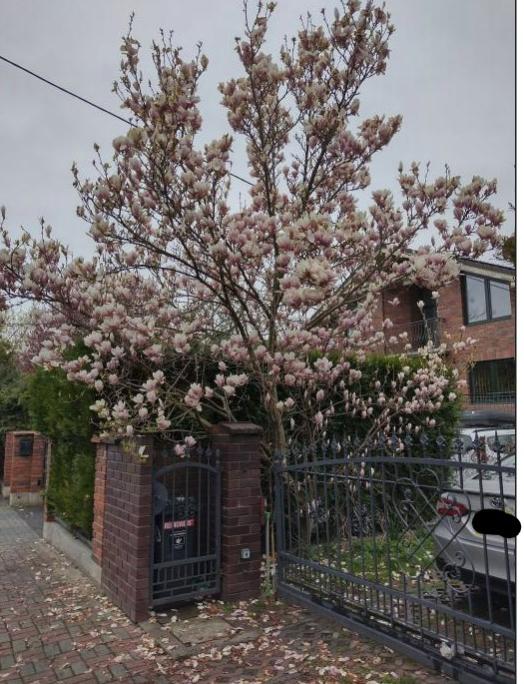 Name:  Screenshot2024-04-16142921.jpg
Views: 30
Size:  79.7 KB