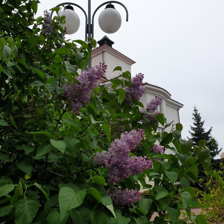 Name:  Screenshot_20240421-080321_Gallery.jpg
Views: 36
Size:  91.5 KB