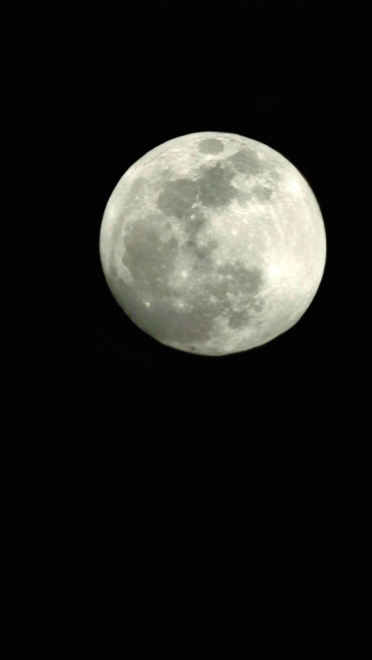 Nombre:  luna.jpg
Visitas: 20
Tamaño: 74.7 KB