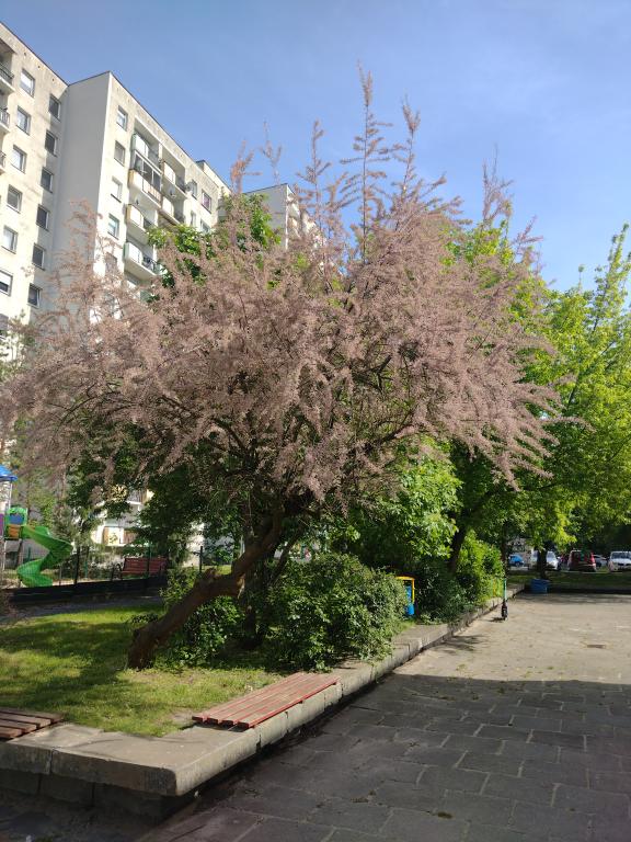 Name:  IMG_2.jpg
Views: 19
Size:  97.1 KB