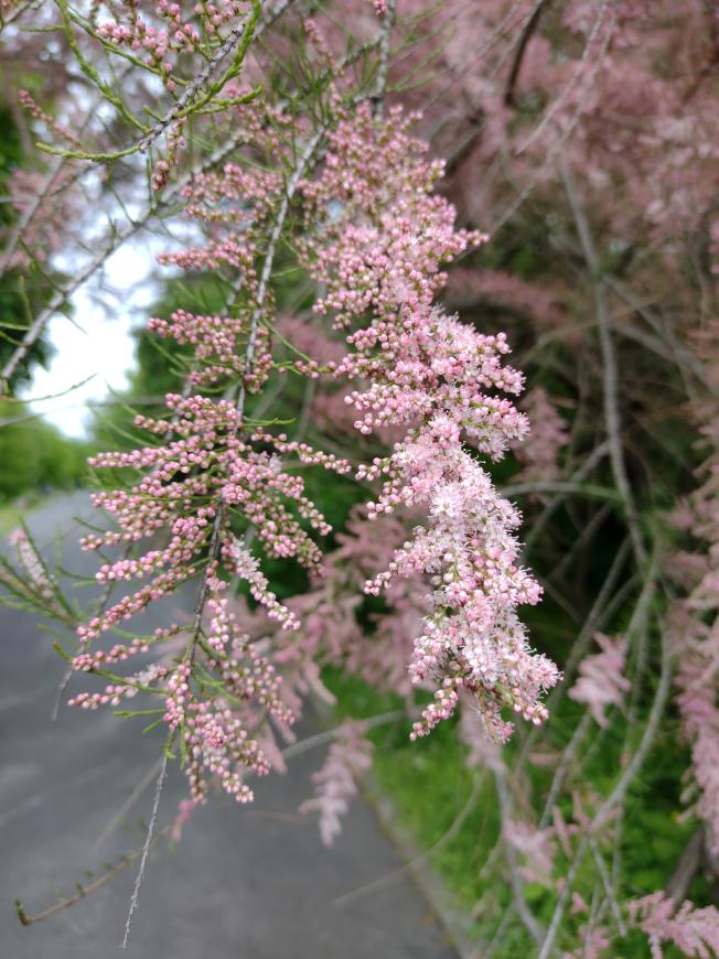 Name:  IMG_3.jpg
Views: 18
Size:  95.4 KB