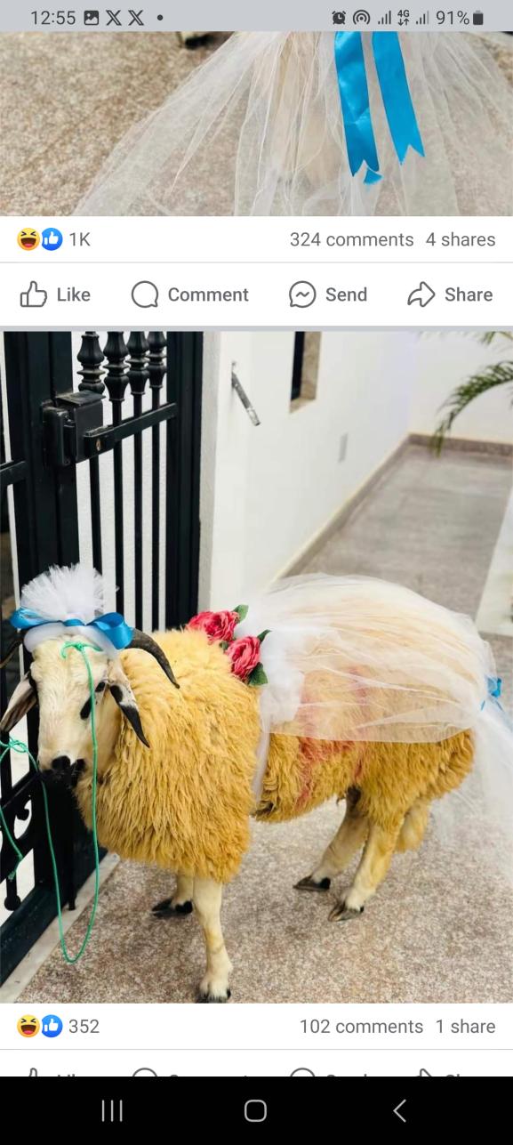 Name:  Screenshot_20240616_125539_Facebook.jpg
Views: 77
Size:  102.6 KB