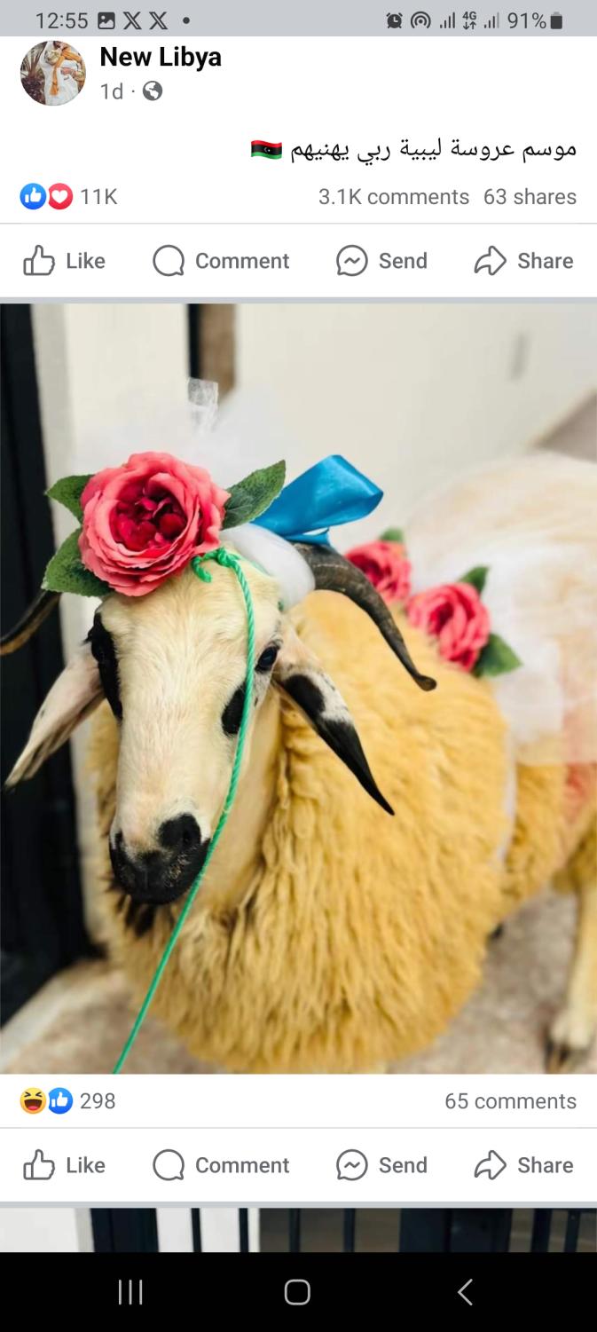 Name:  Screenshot_20240616_125550_Facebook.jpg
Views: 77
Size:  92.8 KB