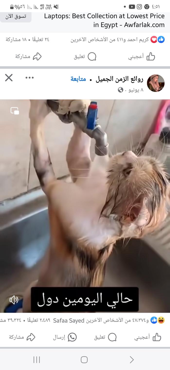 Name:  inbound3042163040739012282.jpg
Views: 76
Size:  89.2 KB