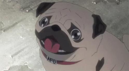 Name:  what-happens-when-a-pug-joins-the-anime-club-dog.jpg
Views: 83
Size:  13.5 KB