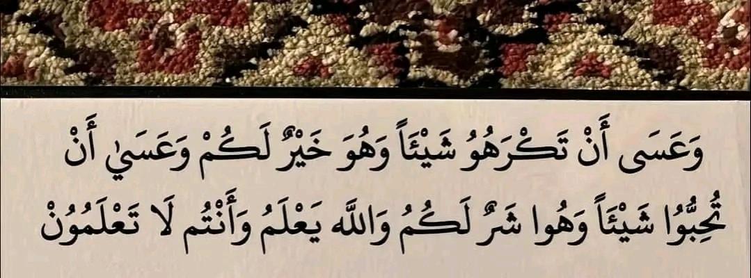 Name:  455493464_838419678424048_1093586797327702360_n.jpg
Views: 55
Size:  71.9 KB