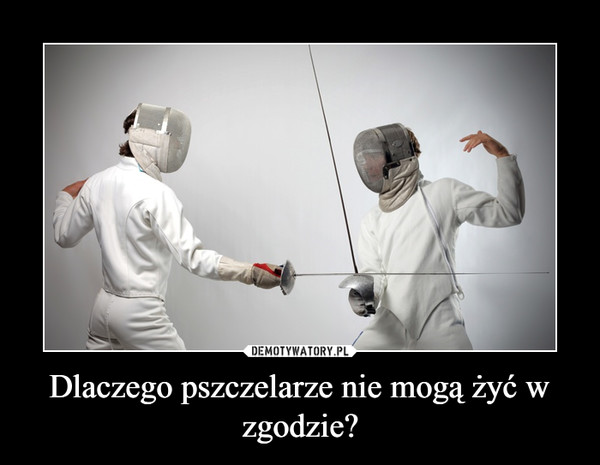 Name:  pszczelarze.jpg
Views: 27
Size:  43.8 KB