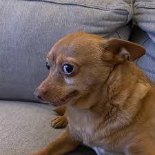 Name:  images.jpeg
Views: 108
Size:  6.6 KB