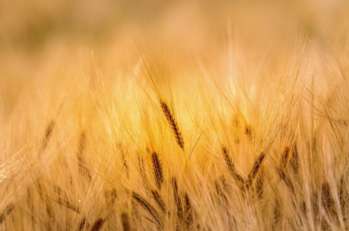 Name:  Screenshot2025-06-19164307.jpg
Views: 55
Size:  92.3 KB