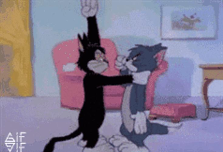 Name:  3f9418a58a650adb61942bbc9a5214c0.jpg
Views: 95
Size:  31.3 KB