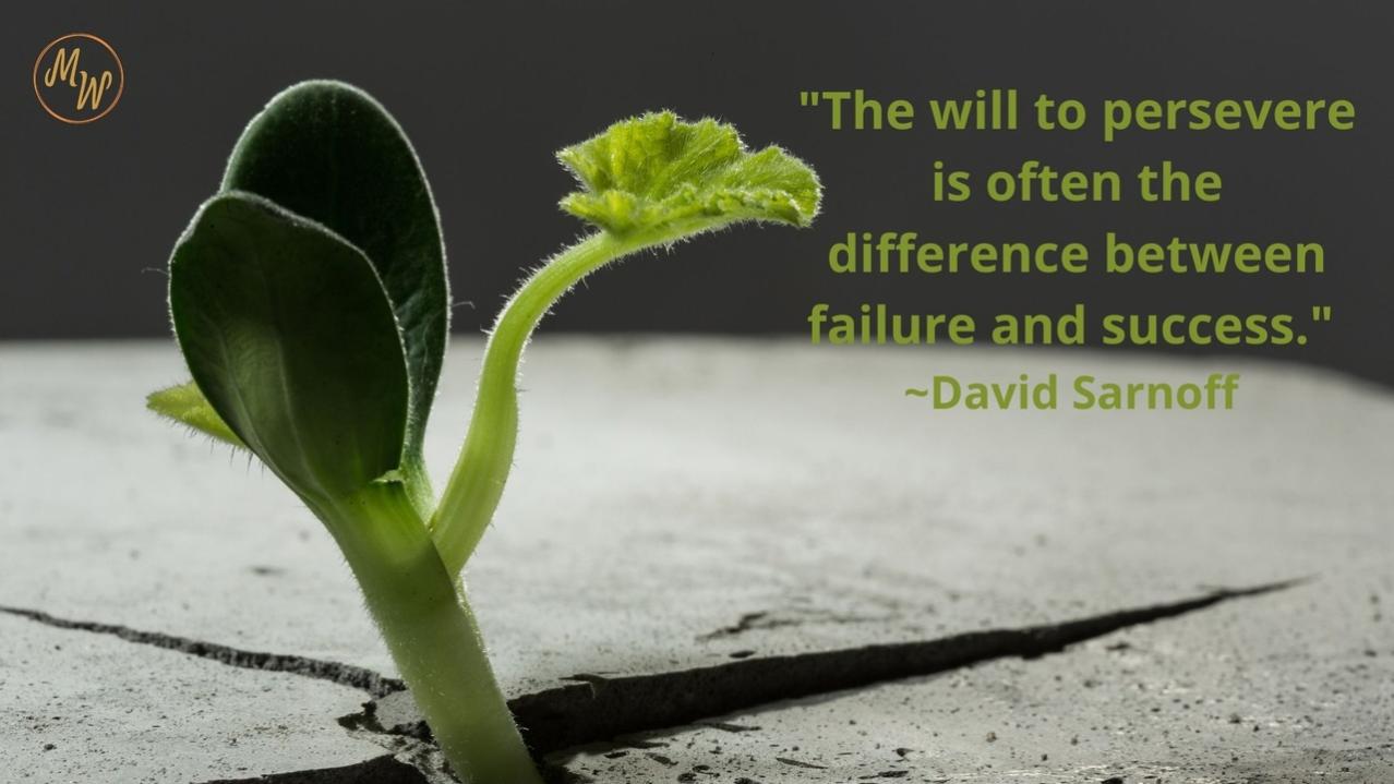 Name:  RY7rAJonTKS93GL5EGWm_Will_to_Persevere.jpg
Views: 8
Size:  79.8 KB