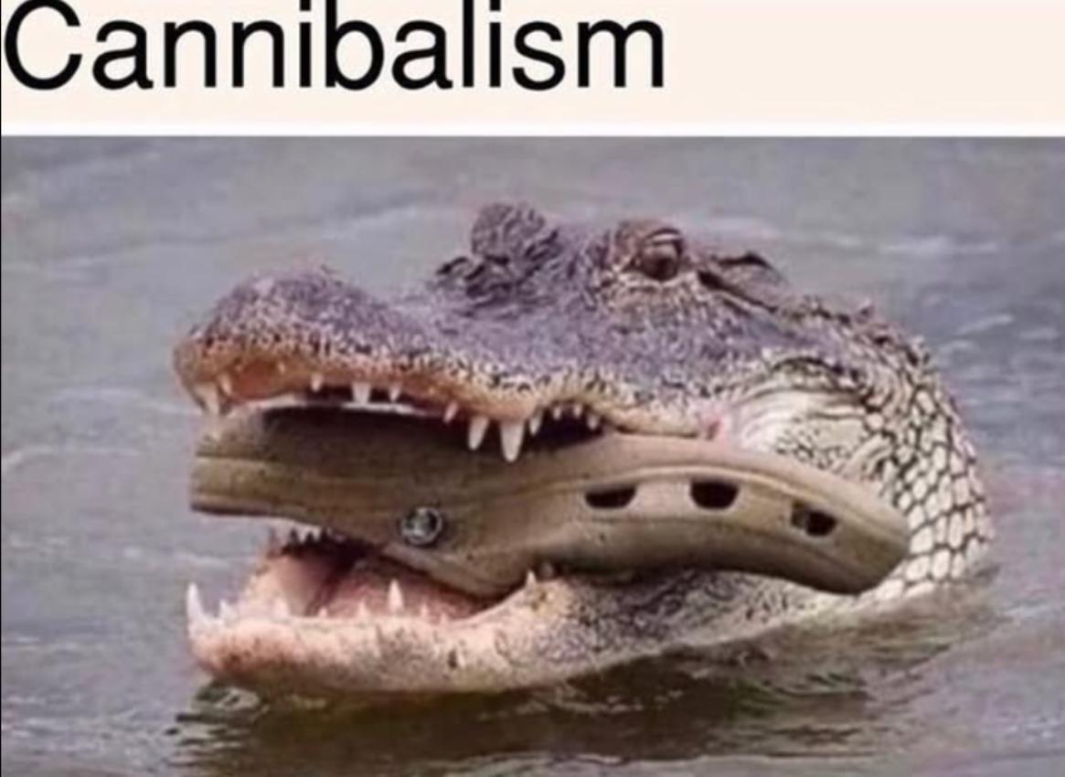 Nom : Captured’écran_6-12-2025_52941_x.com.jpg
Affichages : 22
Taille : 79,9 Ko