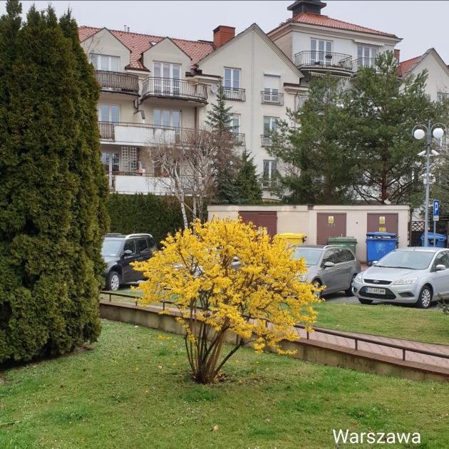 Name:  Screenshot_20220409-105608_Gallery.jpg
Views: 61
Size:  96.9 KB