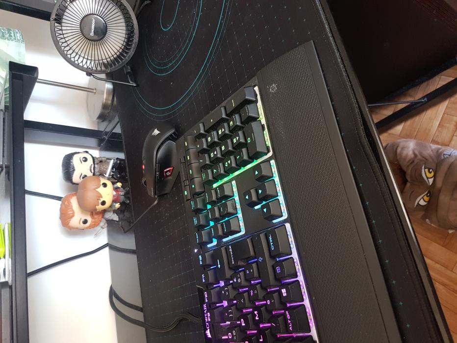 Nom : 20220511_124636.jpg
Affichages : 597
Taille : 93,7 Ko