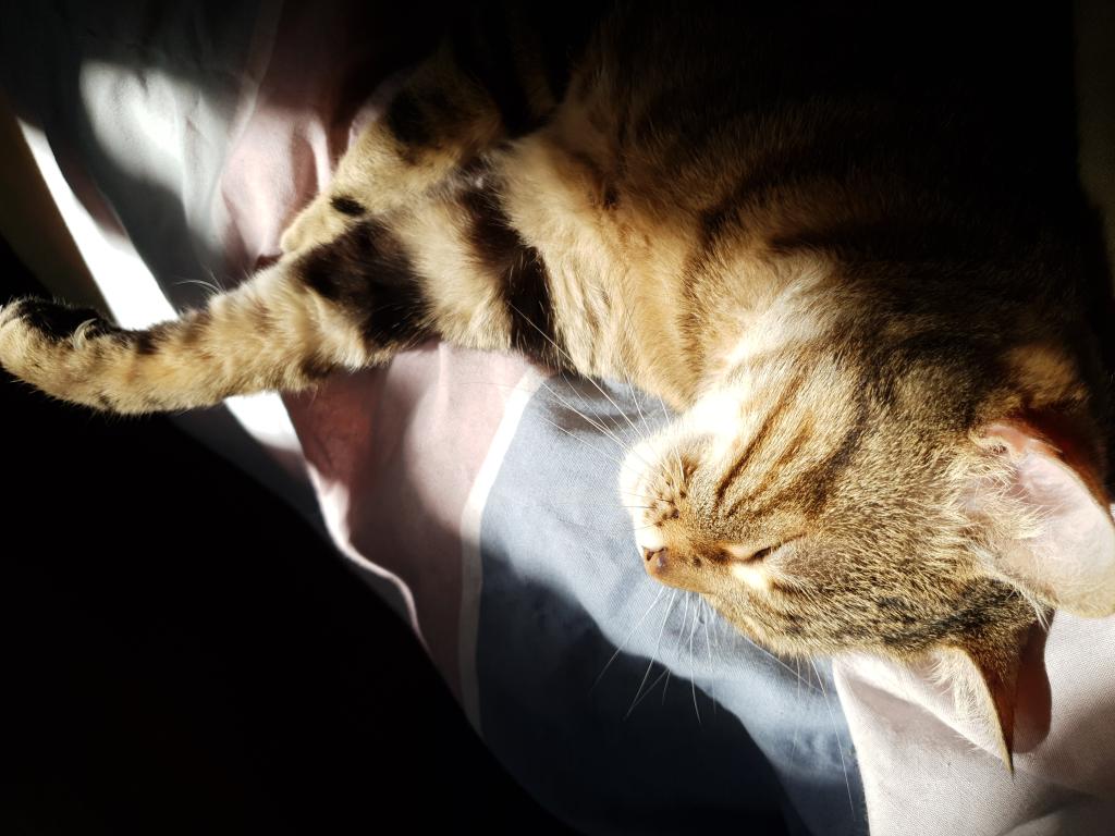 Nombre:  Rita.jpg
Visitas: 67
Tamaño: 94.3 KB