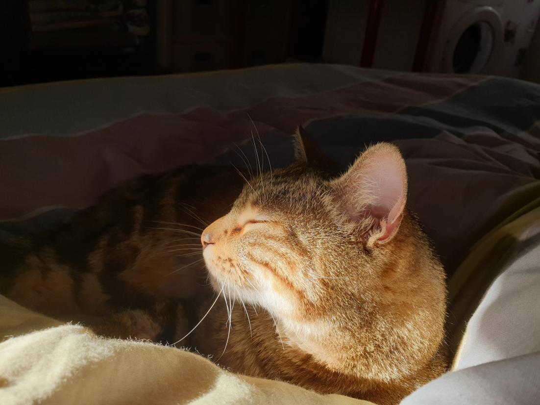 Nombre:  20191226_150353.jpg
Visitas: 149
Tamaño: 94.3 KB