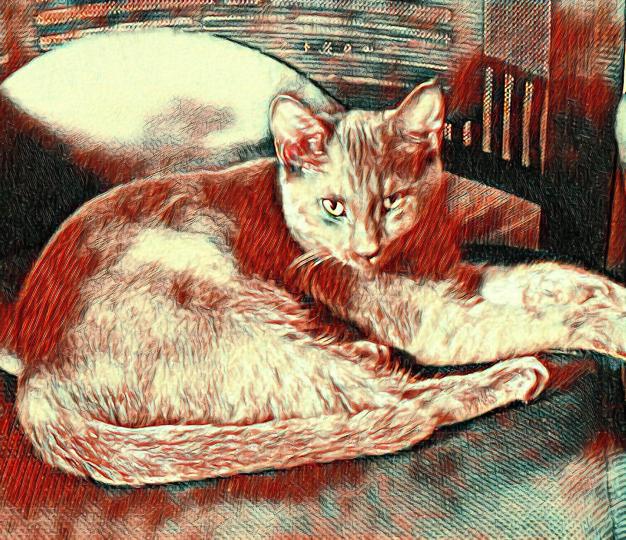 Name:  KITTY 2.jpg
Views: 83
Size:  98.4 KB