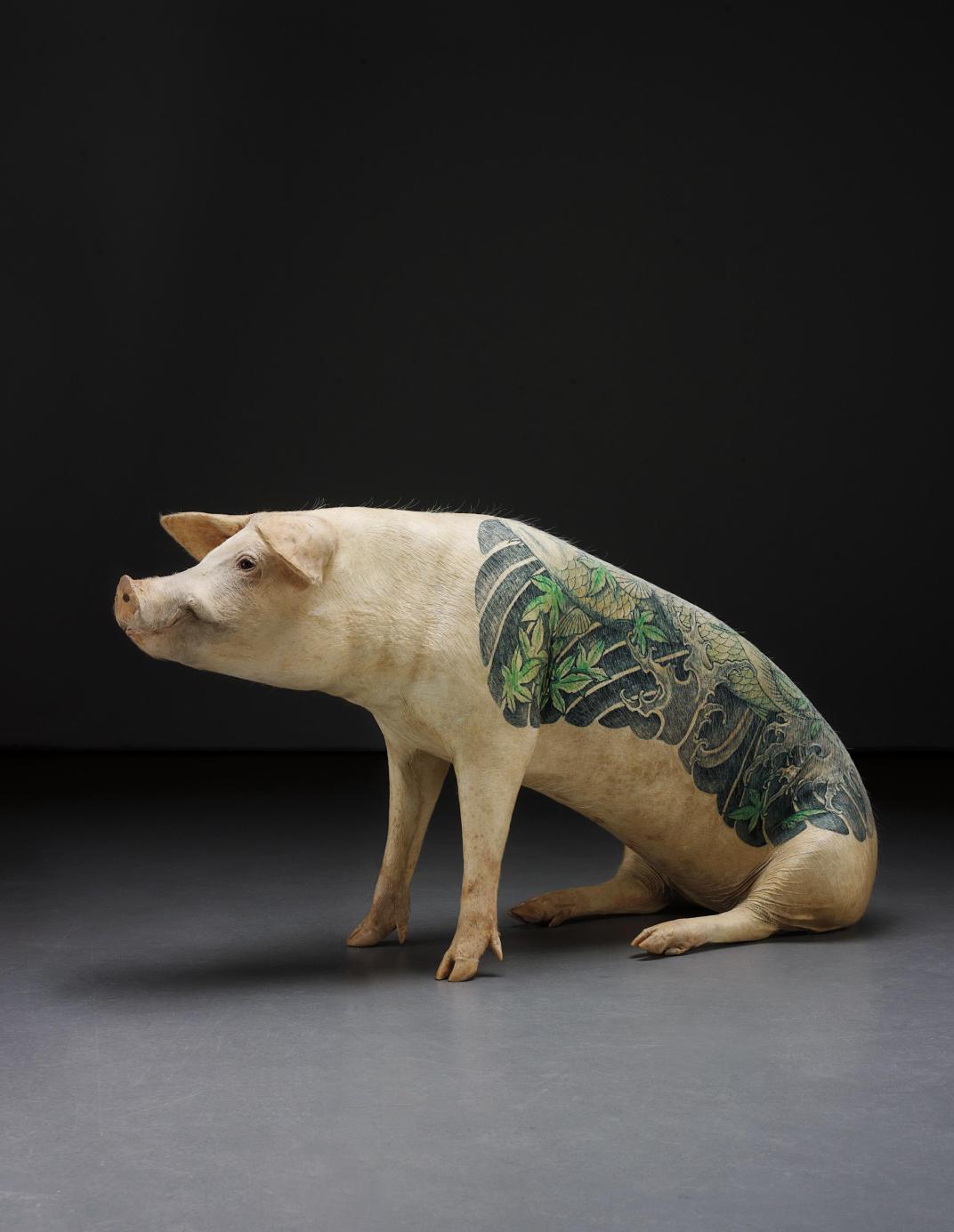 Name:  Wim-Delvoye-Untitled-Koi-2008-stuffed-and-tattooed-pig-68x132x46cm.jpg
Views: 67
Size:  93.4 KB