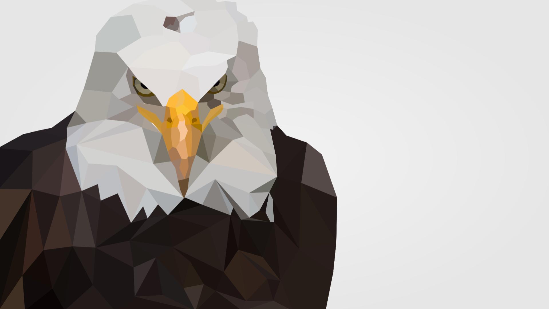 Name:  Eagle Abstract.jpg
Views: 807
Size:  62.9 KB